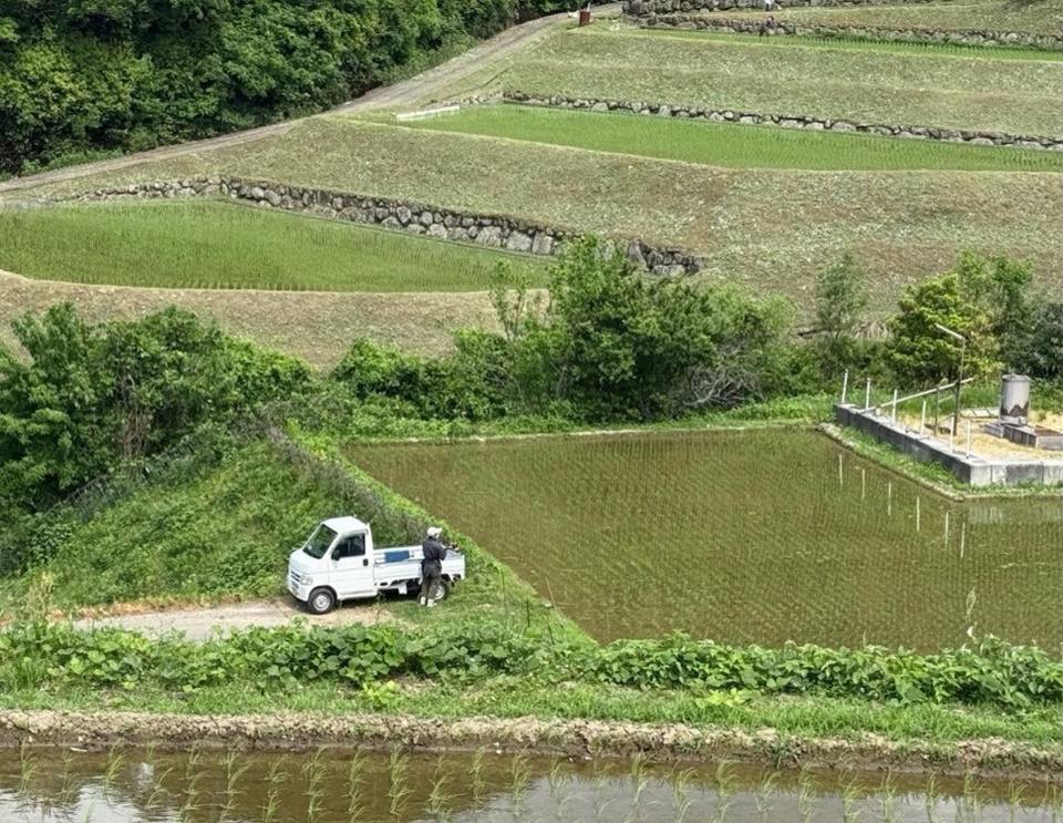 Kei truck working among terraced rice fields on a slope