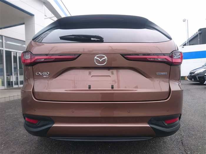 2024 Mazda Mazda Others KL3P (UW-6a0e683e7107d)[6]