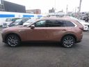 2024 Mazda Mazda Others KL3P (UW-6a0e683e7107d)[7]