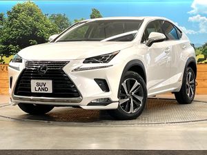 2018 Lexus NX DAA-AYZ10