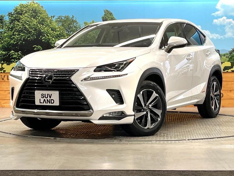 2018 Lexus NX DAA-AYZ10 (UW-69f2a4060d1ae)[0]