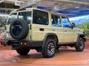2025 Toyota Land Cruiser 70 3DA-GDJ76W (UW-69f56a8d7c231)[22]