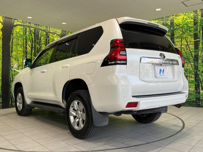 2018 Toyota Land Cruiser Prado CBA-TRJ150W (UW-69f6bcf90b22c)[19]