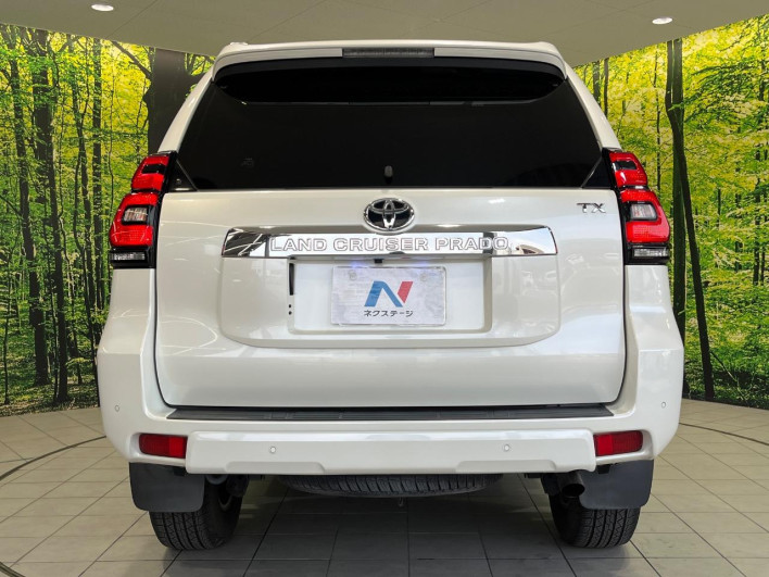 2018 Toyota Land Cruiser Prado CBA-TRJ150W (UW-69f6bcf90b22c)[28]