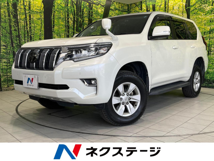 2018 Toyota Land Cruiser Prado CBA-TRJ150W (UW-69f6bcf90b22c)[3]