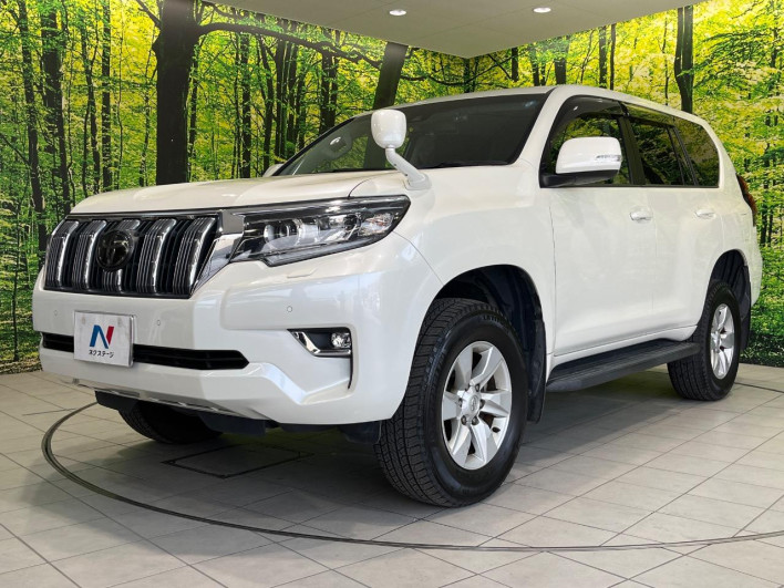 2018 Toyota Land Cruiser Prado CBA-TRJ150W (UW-69f6bcf90b22c)[13]