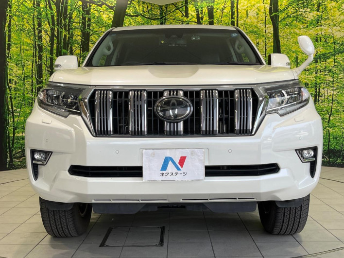 2018 Toyota Land Cruiser Prado CBA-TRJ150W (UW-69f6bcf90b22c)[14]