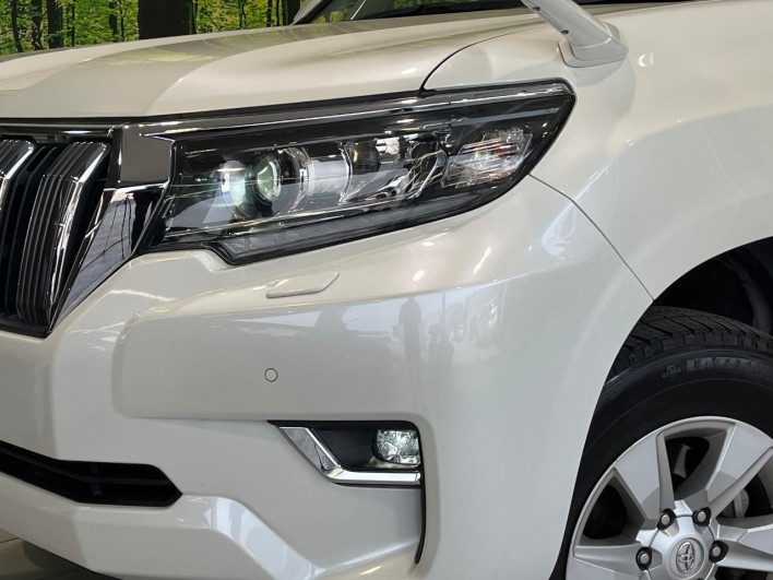 2018 Toyota Land Cruiser Prado CBA-TRJ150W (UW-69f6bcf90b22c)[7]