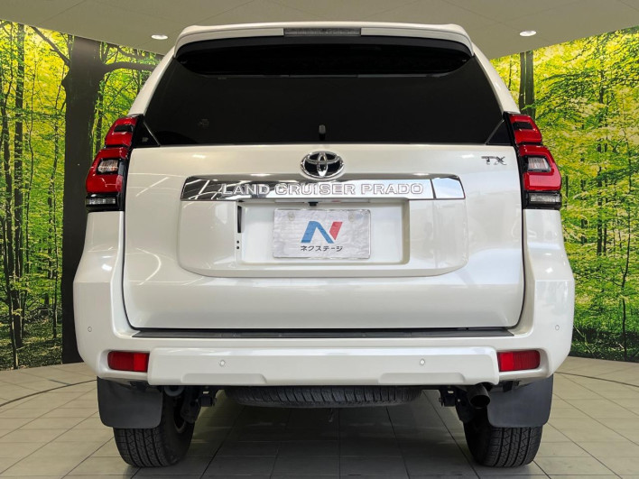 2018 Toyota Land Cruiser Prado CBA-TRJ150W (UW-69f6bcf90b22c)[18]