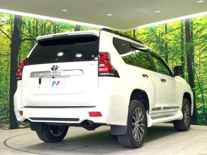 2020 Toyota Land Cruiser Prado CBA-TRJ150W (UW-69f80dfeebe1a)[10]
