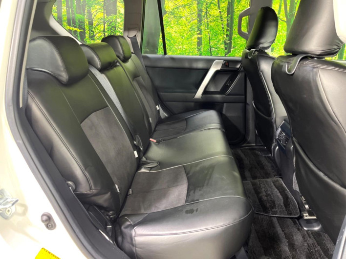 2017 Toyota Land Cruiser Prado CBA-TRJ150W (UW-69fea492d5515)[14]