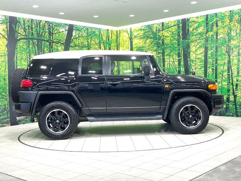 2016 Toyota FJ CRUISER CBA-GSJ15W (UW-69fff57f08ba0)[12]