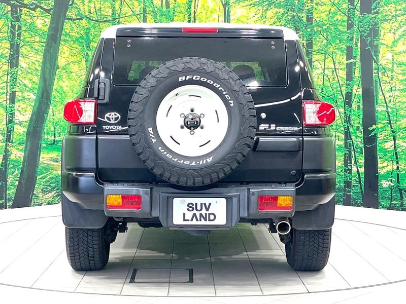 2016 Toyota FJ CRUISER CBA-GSJ15W (UW-69fff57f08ba0)[10]