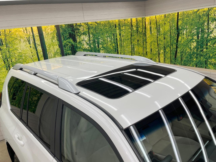 2023 Toyota Land Cruiser Prado 3BA-TRJ150W (UW-69fff60ab01cb)[27]