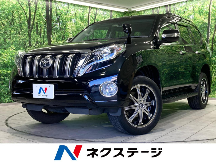 2015 Toyota Land Cruiser Prado CBA-TRJ150W (UW-6a02994d9a27b)[3]