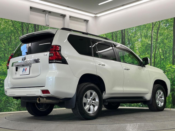 2018 Toyota Land Cruiser Prado CBA-TRJ150W (UW-6a068e6d1dc0c)[14]