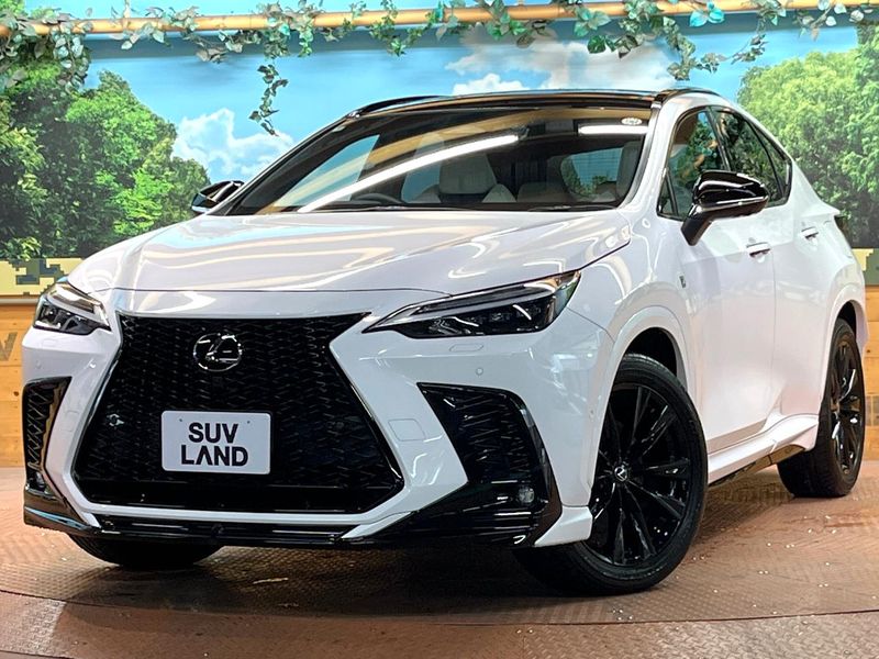 2024 Lexus NX 6AA-AAZH20 (UW-6a126b407f1f3)[0]