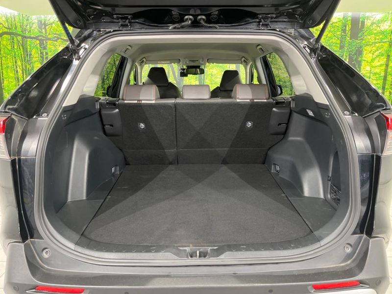 2019 Toyota RAV4 6BA-MXAA54 (UW-6a126ca69131e)[16]