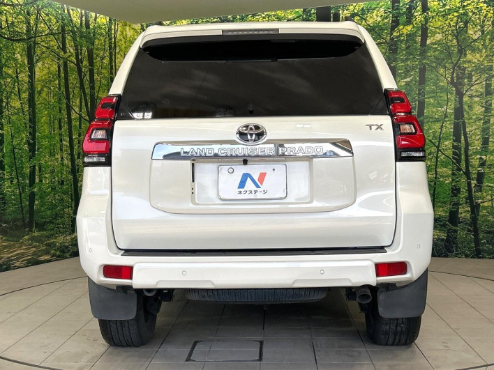 2019 Toyota Land Cruiser Prado LDA-GDJ150W (UW-6a150e95e946b)[8]