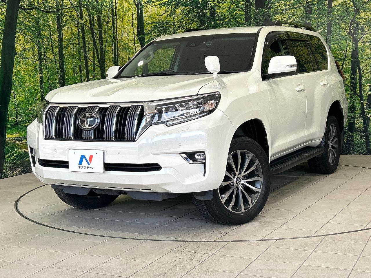 2019 Toyota Land Cruiser Prado LDA-GDJ150W