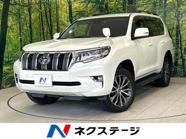 2019 Toyota Land Cruiser Prado LDA-GDJ150W (UW-6a150e95e946b)[3]