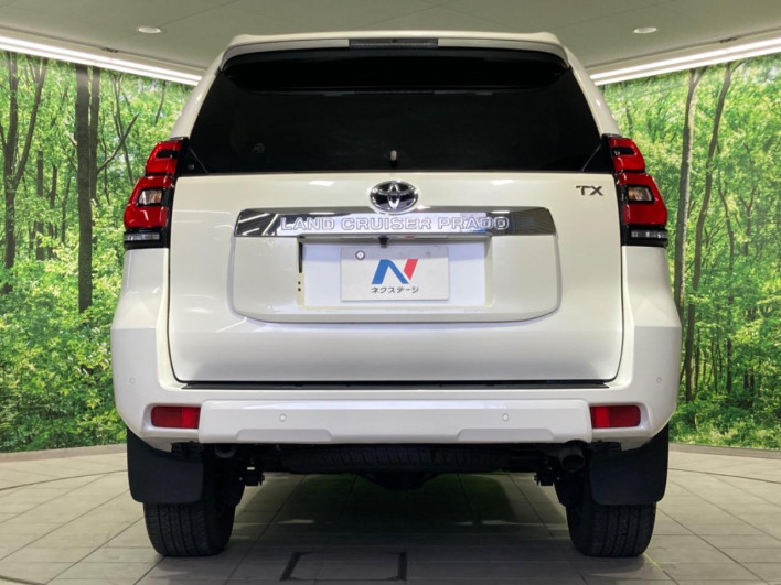 2017 Toyota Land Cruiser Prado CBA-TRJ150W (UW-6a1904ee5868f)[11]