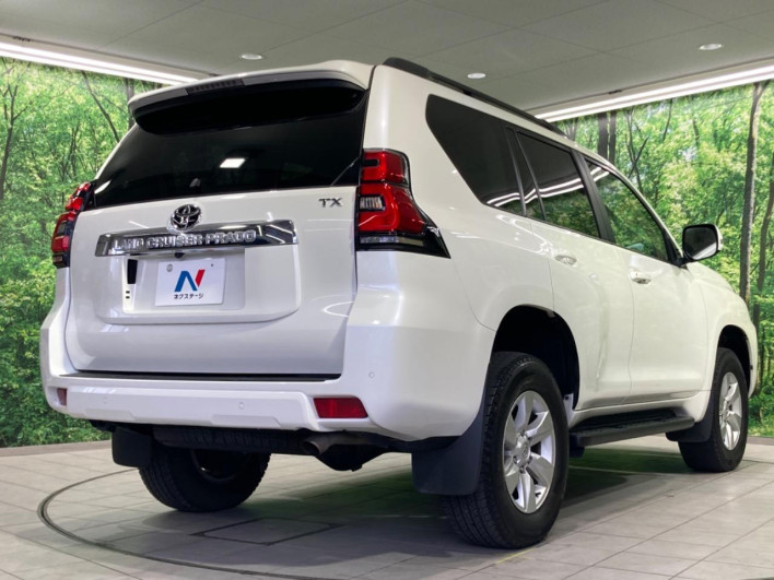 2017 Toyota Land Cruiser Prado CBA-TRJ150W (UW-6a1904ee5868f)[10]