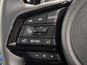 2025 Subaru Forester 5AA-SLG (UW-6a1e4a48e931e)[13]