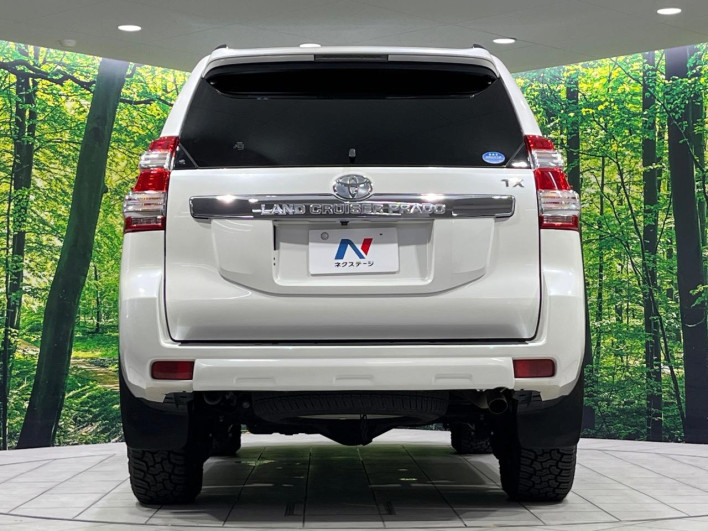 2017 Toyota Land Cruiser Prado CBA-TRJ150W (UW-6a20ed809c8cf)[11]