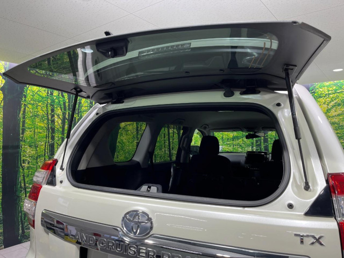 2017 Toyota Land Cruiser Prado CBA-TRJ150W (UW-6a20ed809c8cf)[20]