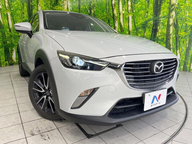 2017 Mazda CX-3 6BA-DKEFW (UW-6a238f3eee421)[13]