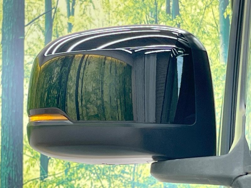 2018 Honda N-BOX CUSTOM DBA-JF3 (UW-6a238fb2590b6)[5]