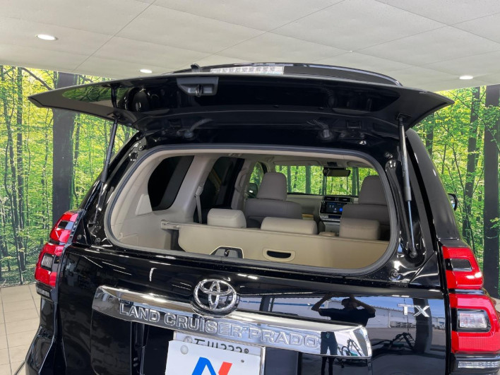 2018 Toyota Land Cruiser Prado CBA-TRJ150W (UW-6a24e186ae427)[23]