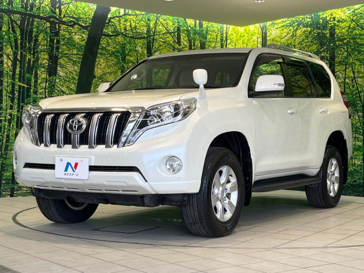 2017 Toyota Land Cruiser Prado CBA-TRJ150W (UW-6a2a27a717483)[11]