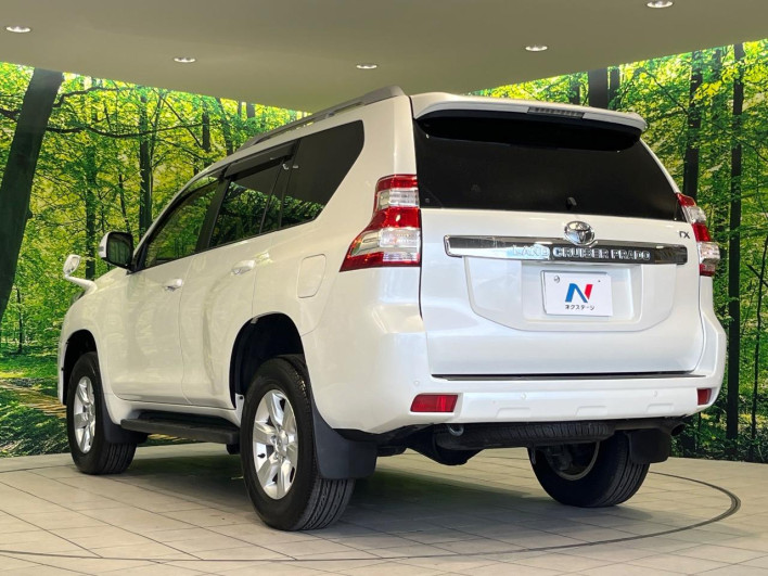 2017 Toyota Land Cruiser Prado CBA-TRJ150W (UW-6a2a27a717483)[13]