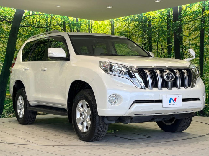 2017 Toyota Land Cruiser Prado CBA-TRJ150W (UW-6a2a27a717483)[17]