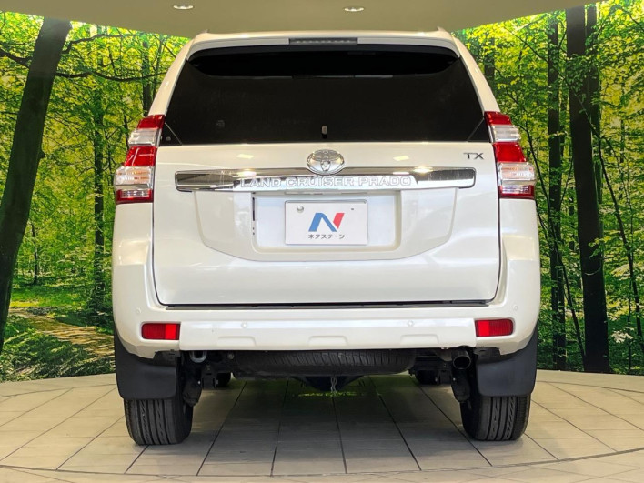 2017 Toyota Land Cruiser Prado CBA-TRJ150W (UW-6a2a27a717483)[14]