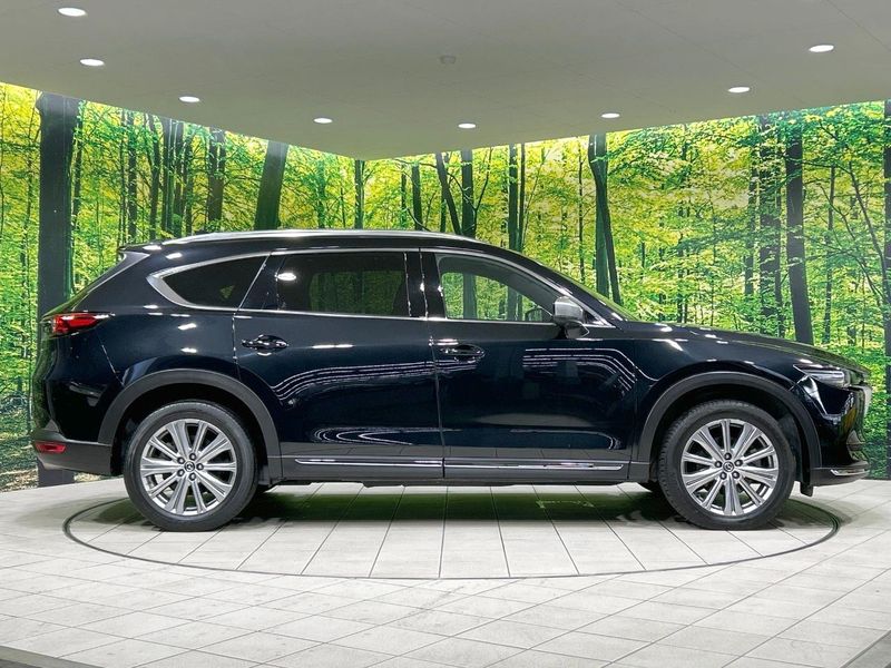2021 Mazda CX-8 3da-kg2p (UW-6a2cca383cfbe)[16]