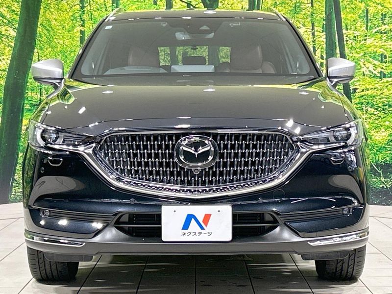 2021 Mazda CX-8 3da-kg2p (UW-6a2cca383cfbe)[14]
