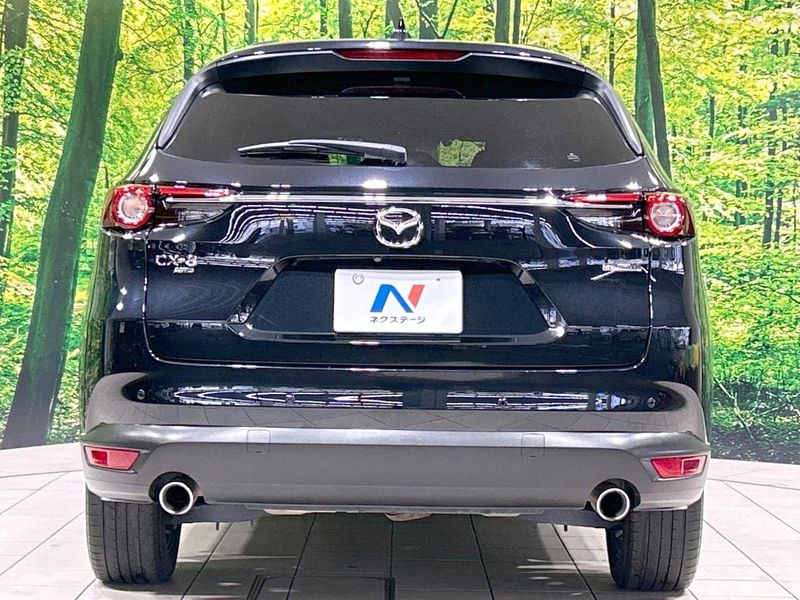 2021 Mazda CX-8 3da-kg2p (UW-6a2cca383cfbe)[18]
