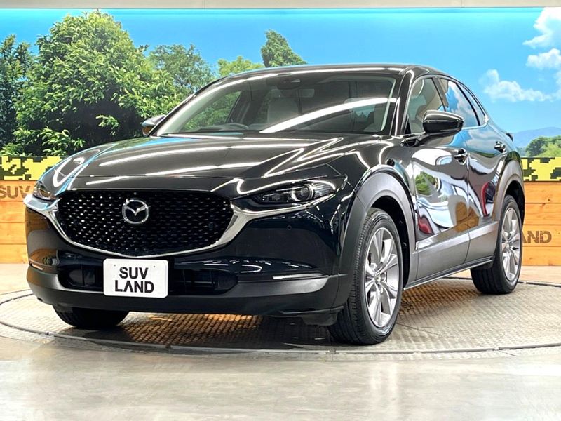 2020 Mazda CX-30 3DA-DM8P (UW-6a2e1aad5b9fc)[22]