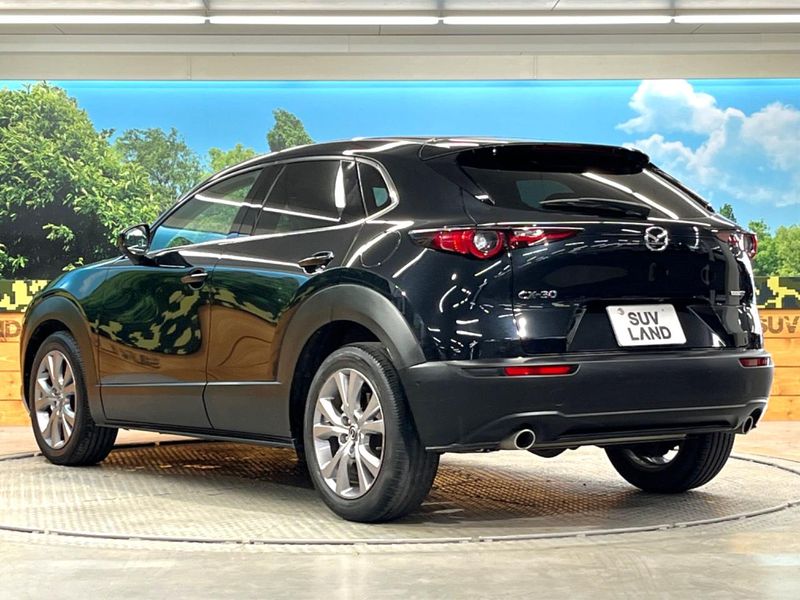 2020 Mazda CX-30 3DA-DM8P (UW-6a2e1aad5b9fc)[24]