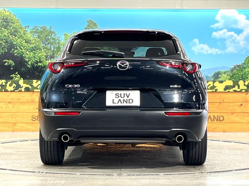2020 Mazda CX-30 3DA-DM8P (UW-6a2e1aad5b9fc)[25]