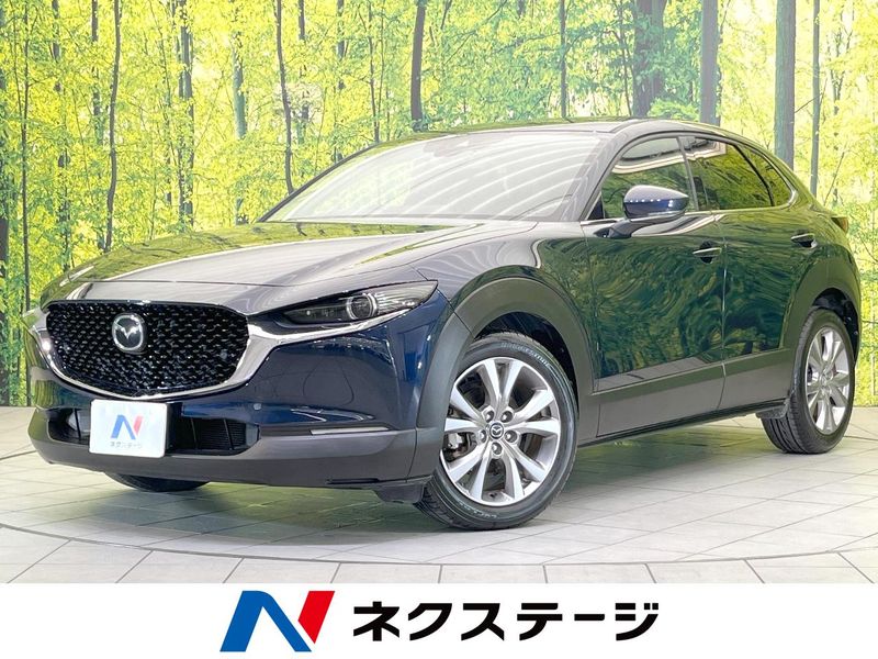 2019 Mazda CX-30 5BA-DMEP (UW-6a3603d70f4a7)[3]