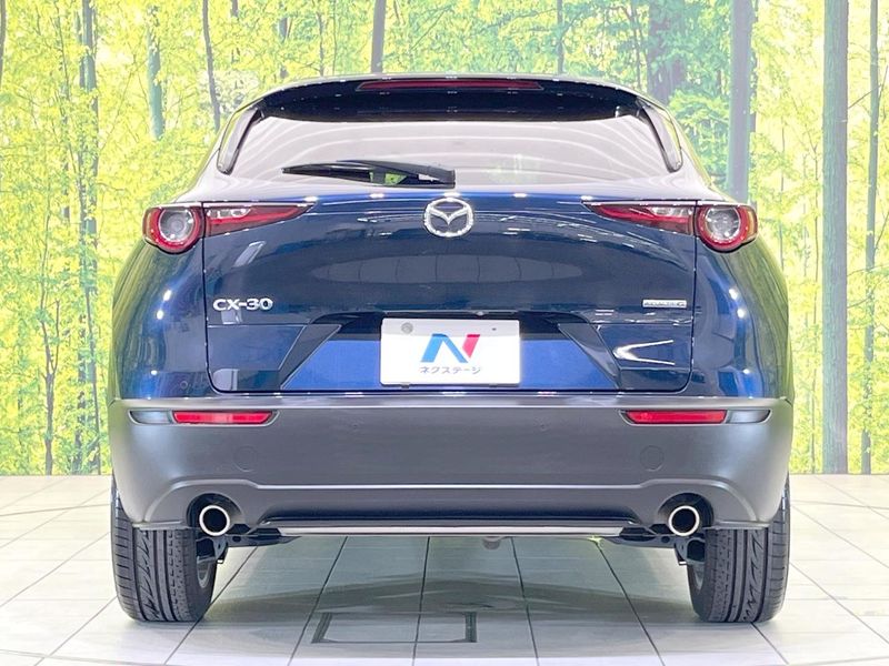2019 Mazda CX-30 5BA-DMEP (UW-6a3603d70f4a7)[9]