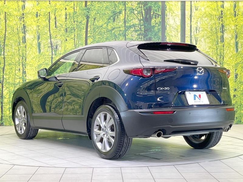 2019 Mazda CX-30 5BA-DMEP (UW-6a3603d70f4a7)[10]