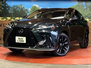 2025 Lexus NX 5BA-TAZA25
