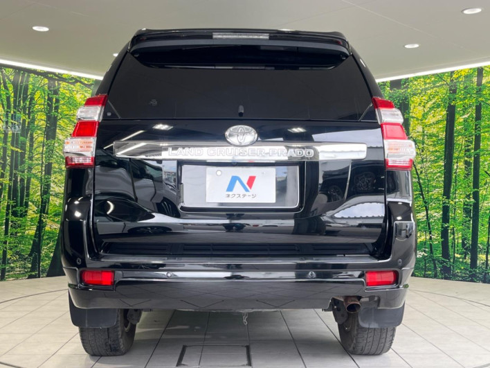 2017 Toyota Land Cruiser Prado CBA-TRJ150W (UW-6a3b4ba736d30)[11]