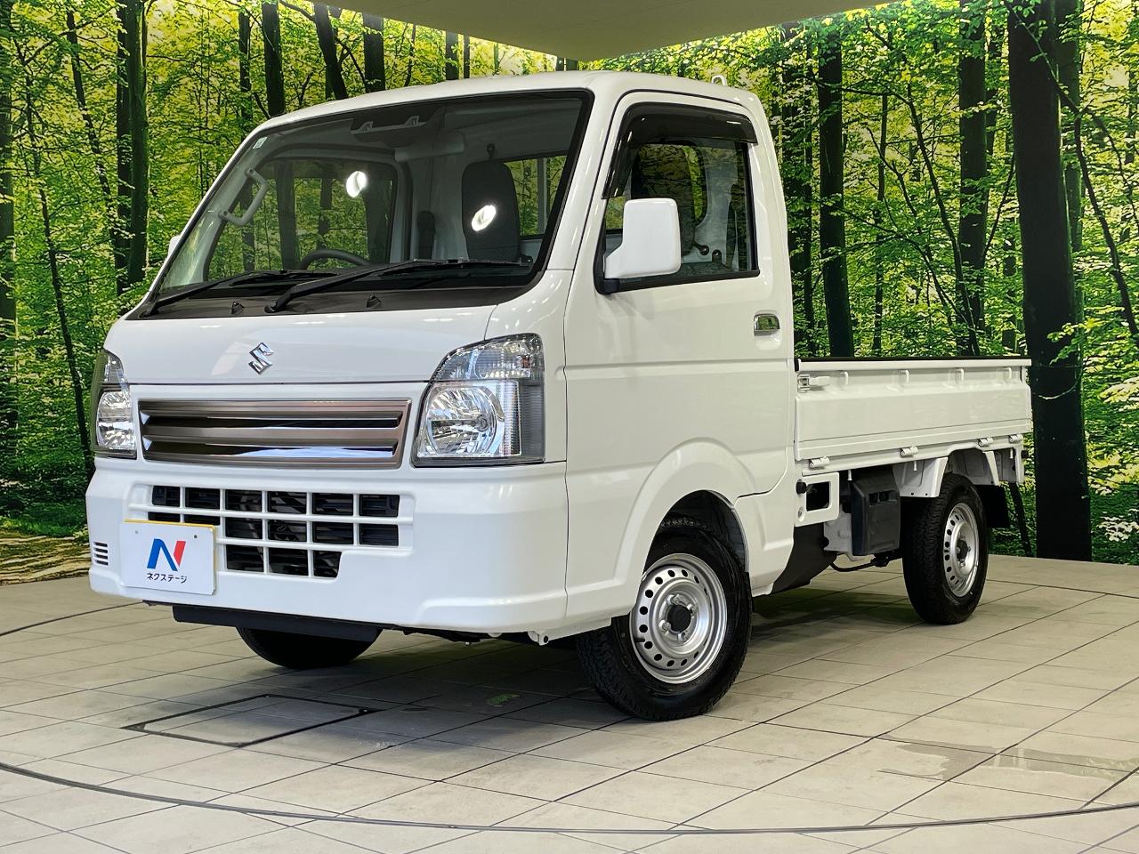 2022 Suzuki Carry Truck 3BD-DA16T