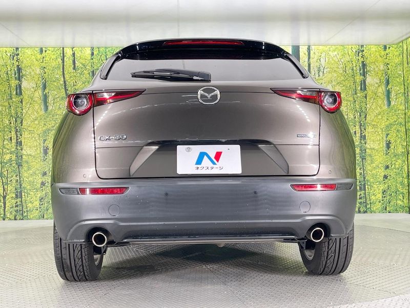 2020 Mazda CX-30 5BA-DMEP (UW-6a41e131697c2)[18]